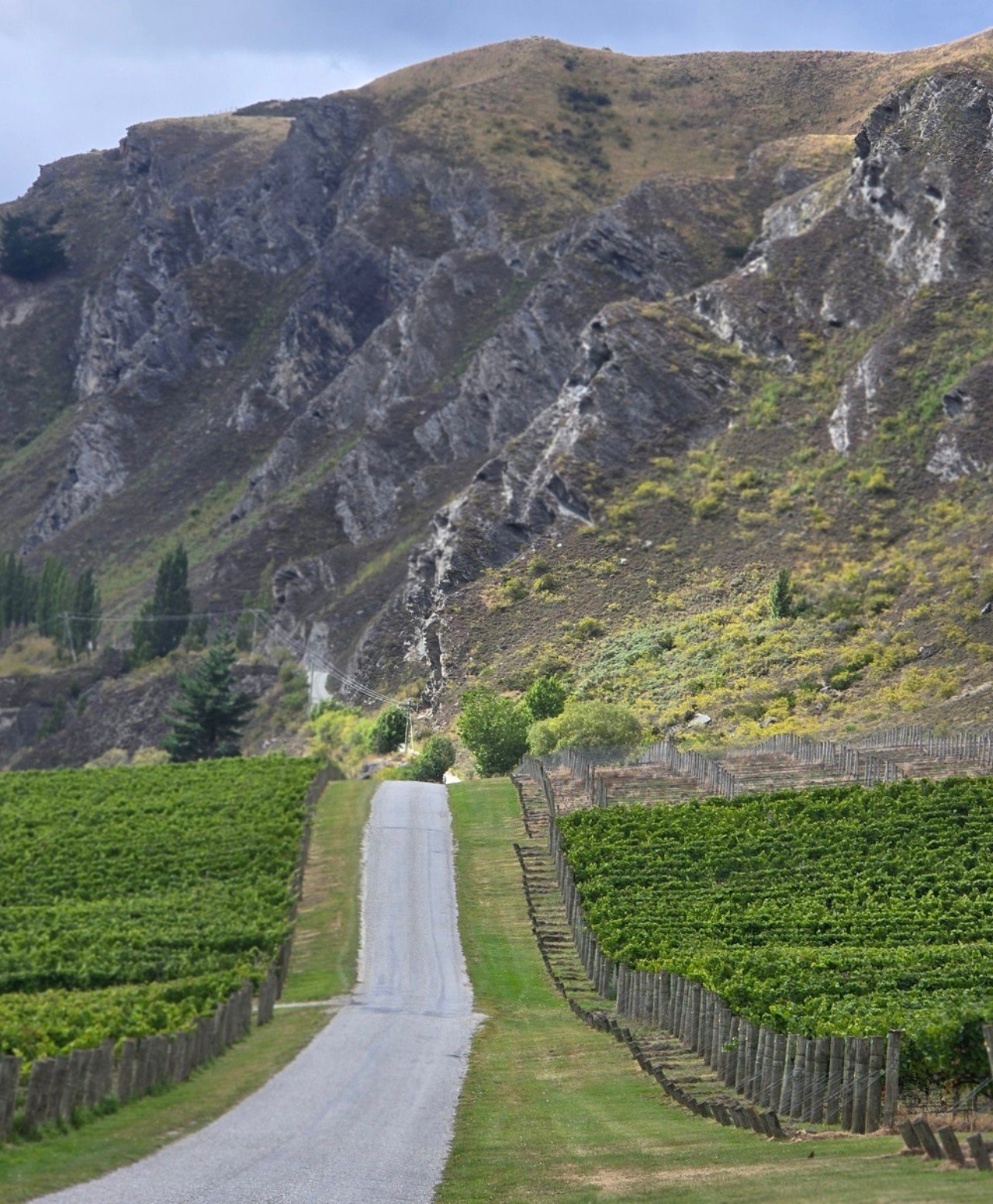 updated_chadfarm winery