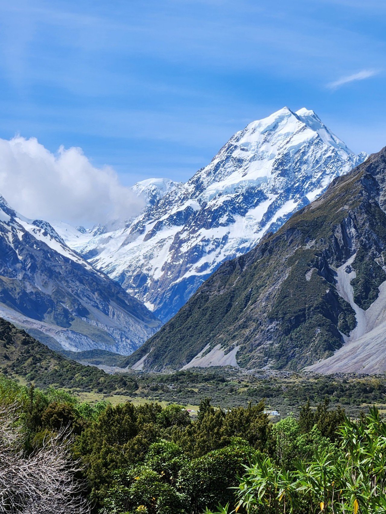 updated_mt cook